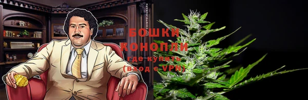 спиды Богданович
