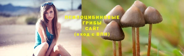 гашик Армянск