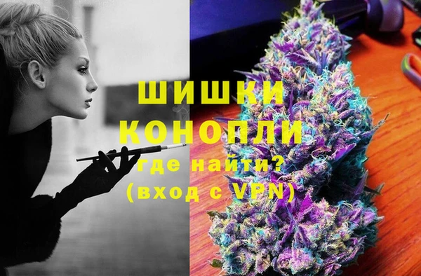 соль ск Богородицк