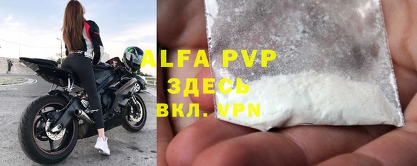 спиды Богданович