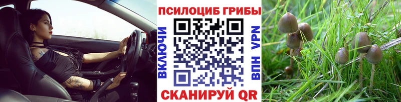 Галлюциногенные грибы ЛСД  Козельск 